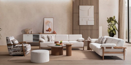 Virjin Sofa Set