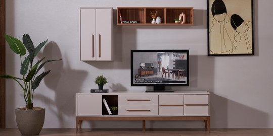 Monza TV Unit