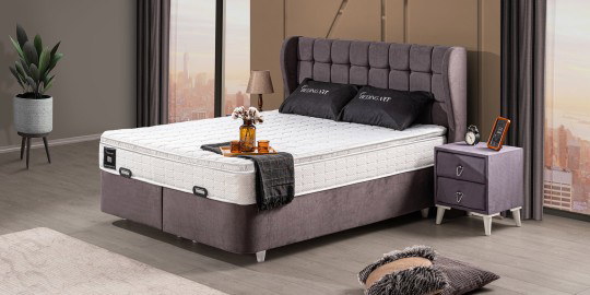 Vitra Baza & Başlık