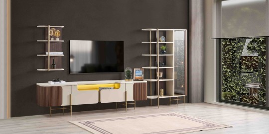 Asian TV Unit