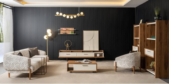 Zen TV Unit