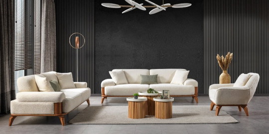 Arya Sofa Set